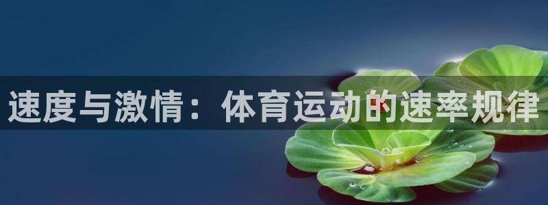 so米体育在线：速度与激情：体育运动的速率规律