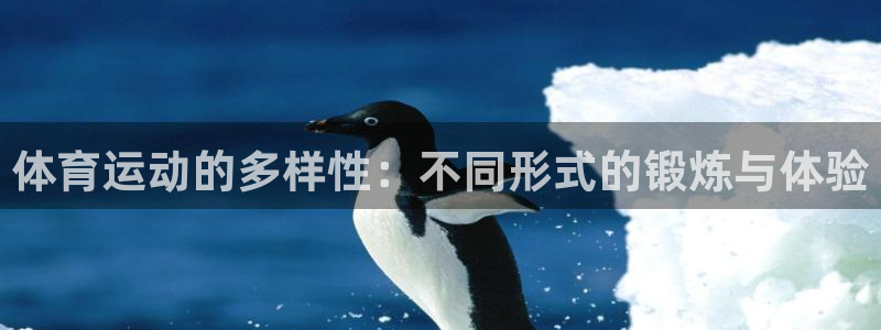 so米徐冰冰：体育运动的多样性：不同形式的锻炼与体验