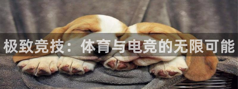 so米下载：极致竞技：体育与电竞的无限可能